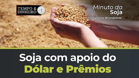 Soja com apoio do Dólar e Prêmios