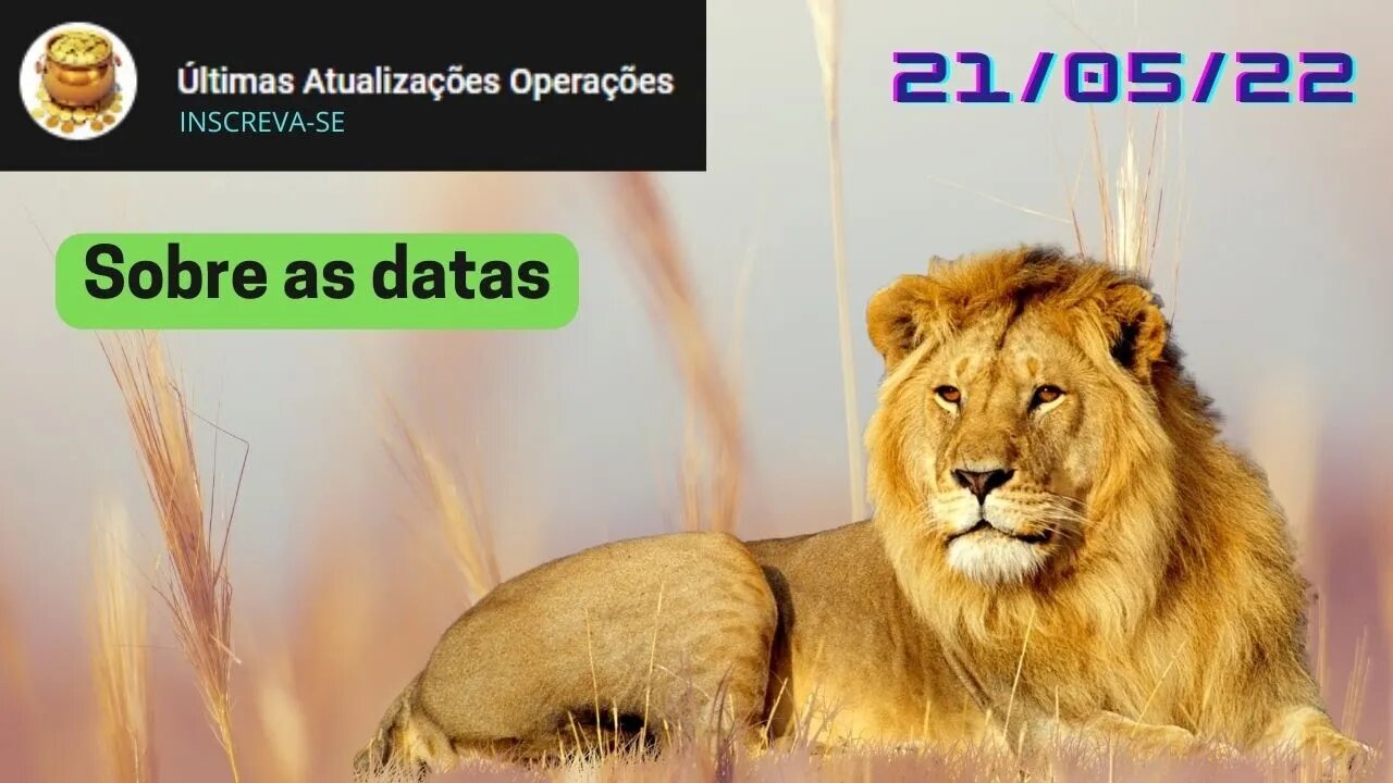 LEÃO SOBRE DATAS