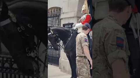 Horse taken back Stable #horseguardsparade