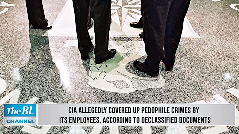 The Same Government Agencies Investigate and Commit Acts of Pedophilia