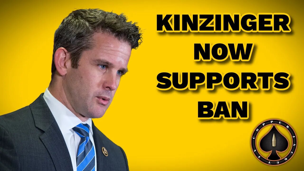 Republican A. Kinzinger Now Supports Ban on AR's.