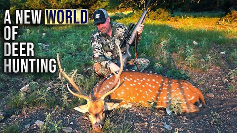 A Look at Axis Deer vs. Whitetails