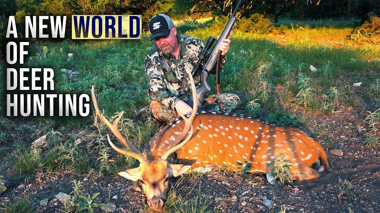 A Look at Axis Deer vs. Whitetails