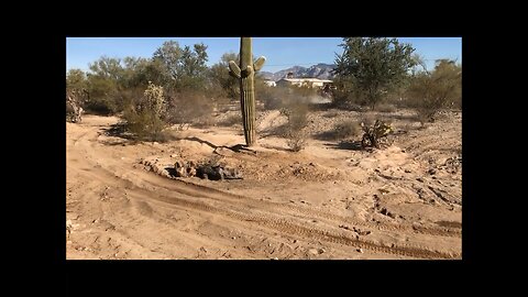 Quad Riding Fun