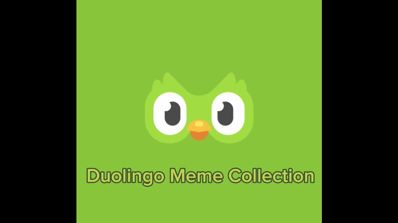 Duolingo Meme Collection