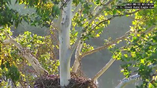 USS Eagles - USS 5 take off over river