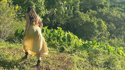 Alone and Off Grid: Building a Self Reliant Life in Nature 