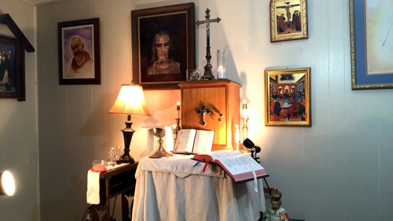 The Catholic Mass with Fr. Stephen Imbarrato - Sun, Aug. 14, 2022