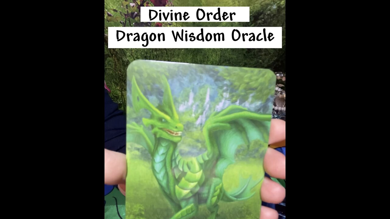 Divine Order - Dragon Wisdom Oracle🐲 #dragonoracle