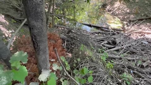 Is it town or county land? Hamburg man trying to clear source of flooding