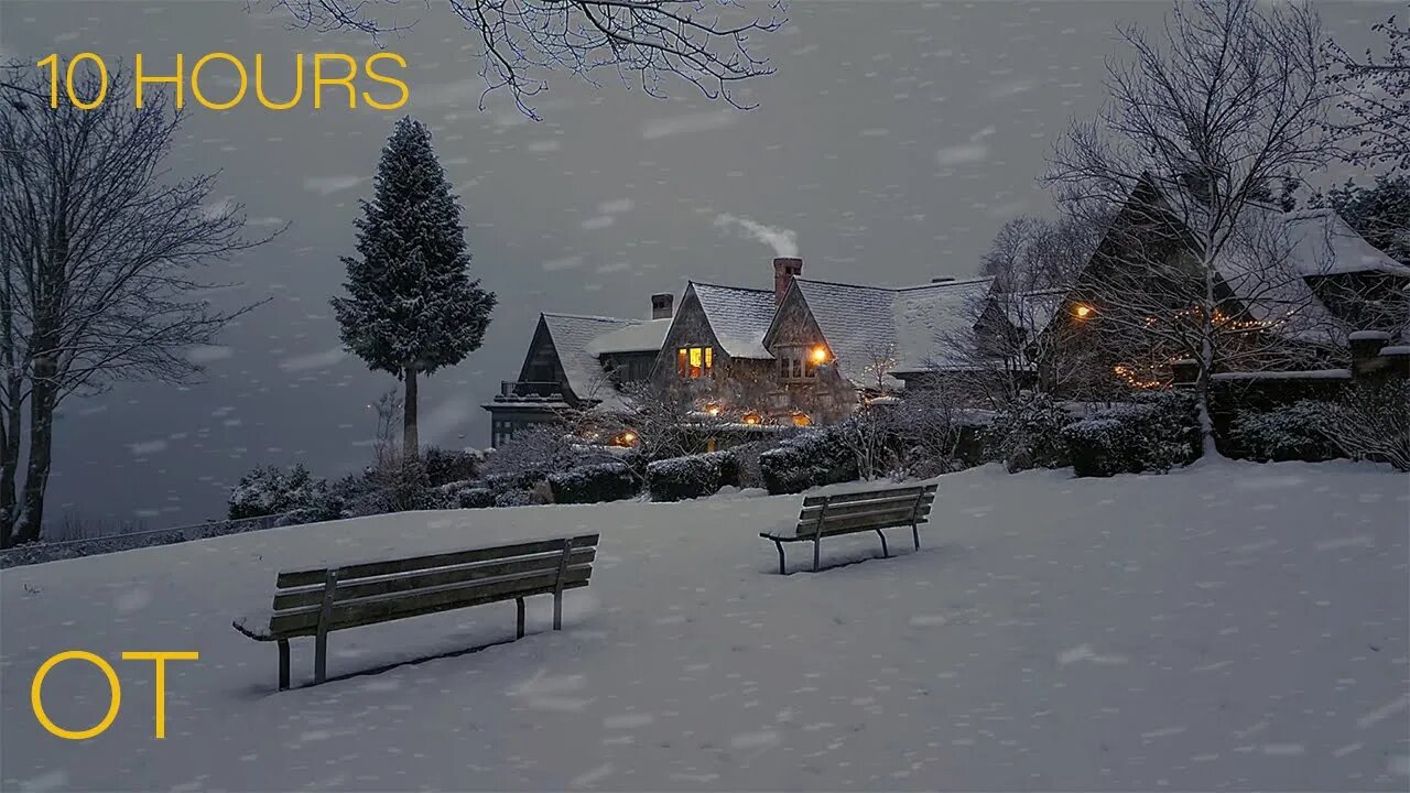 Blizzard in Vancouver | Howling wind and blowing snow for Relaxing | Study | Sleep | Winter Ambience