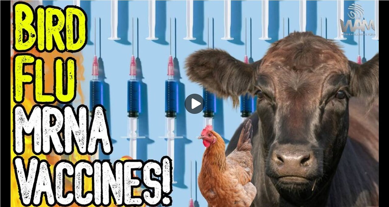 GET READY! - BIRD FLU MRNA VACCINES! - Alt Media Pushes Bird Flu Psyop! - They Think You're Stupid!