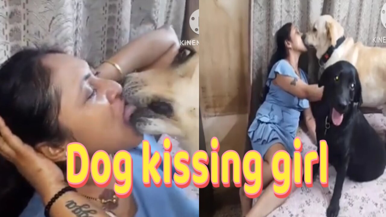 Dog Kissing India Girl 💋