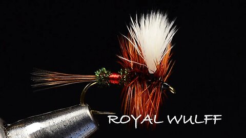 Royal Wulff Fly Tying Video - Tied by Charlie Craven