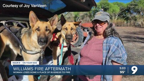 Williams Fire aftermath
