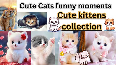 10 Cute Cats funny moments compliation, Cute kittens collection