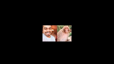 Troll prank dog Funny Fake Tiger Prank To dog Huge Box and Fake Lion 🦁😂 Prank To dogs 🤣🤣🐕🐕🐅🐅🐯🐯