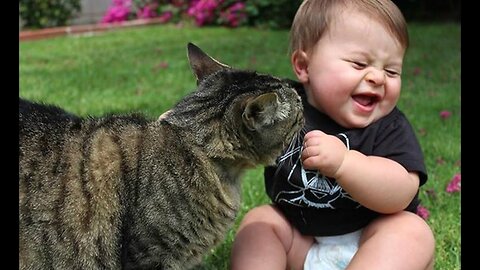 Funny baby laughing hysterically at cats soon cute