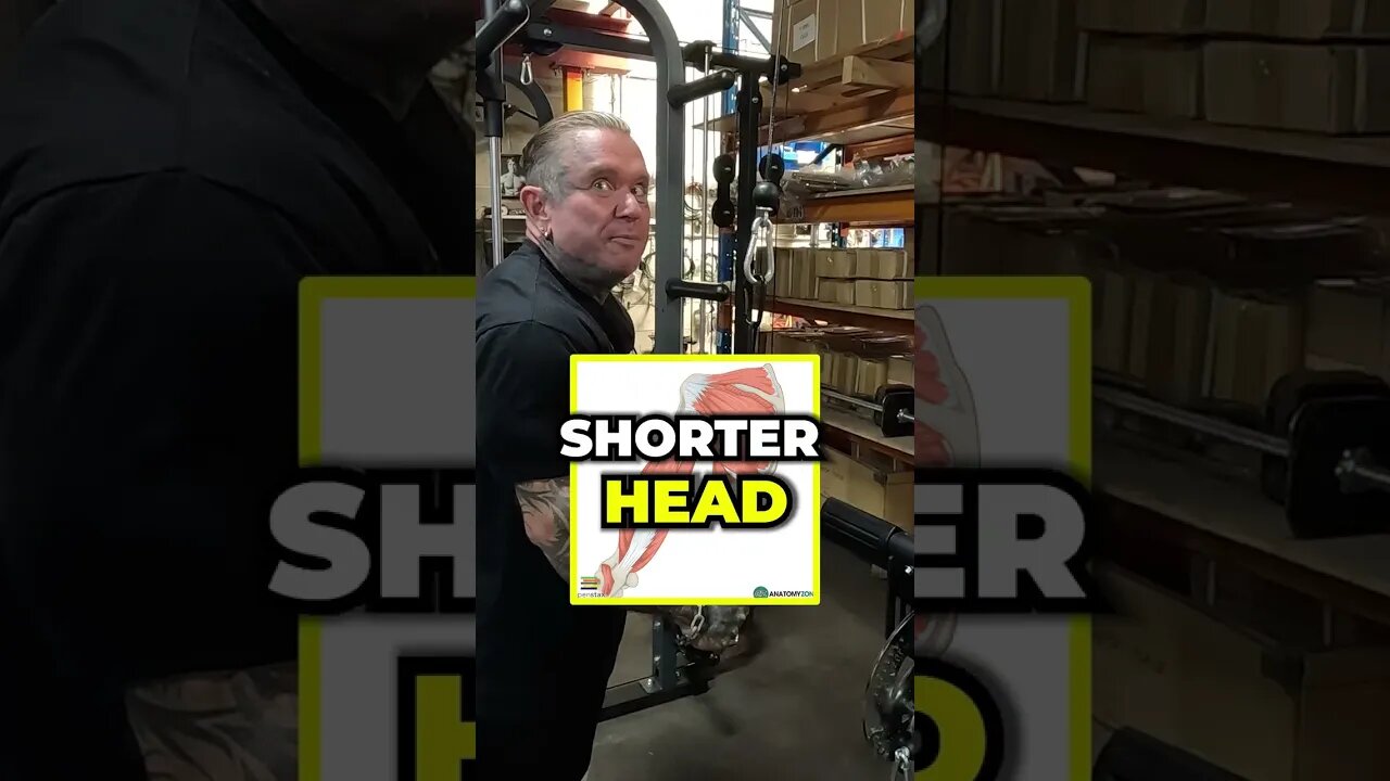 LEE PRIEST: How to Isolate a Muscle Head?