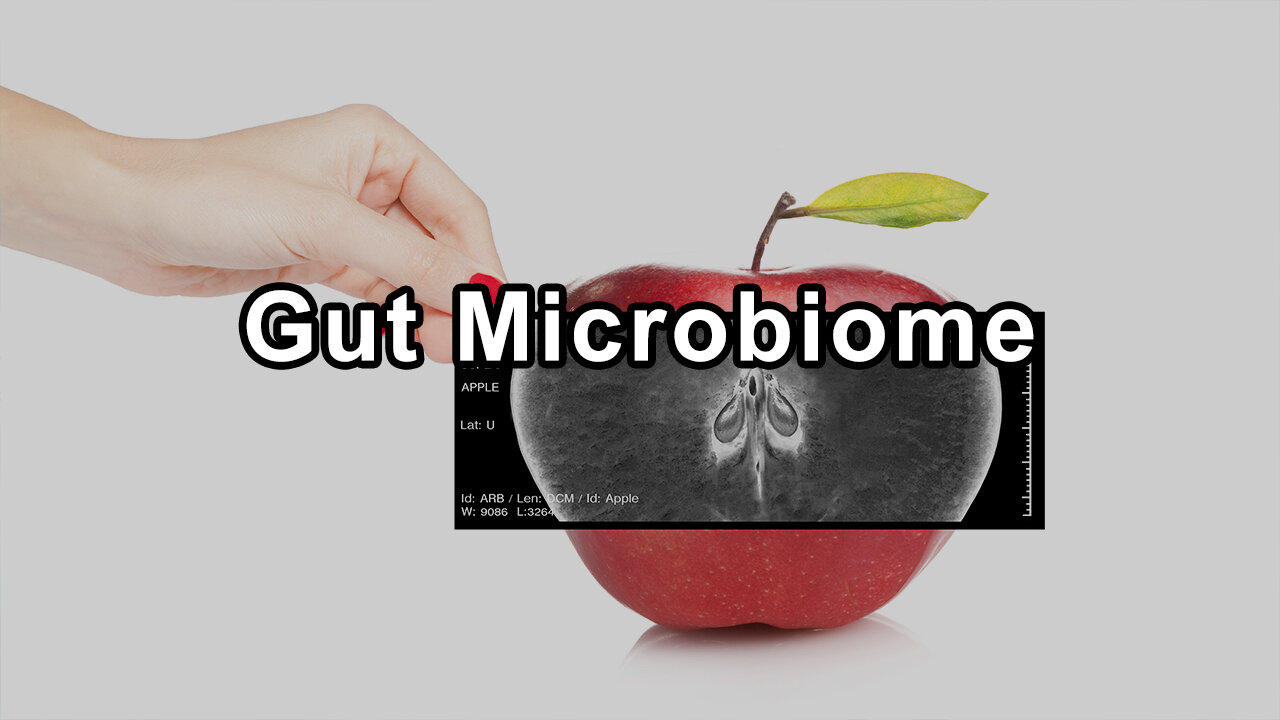 The Crucial Role of Gut Microbiome in Immune Resilience - Pamela A. Popper, Ph.D., N.D.