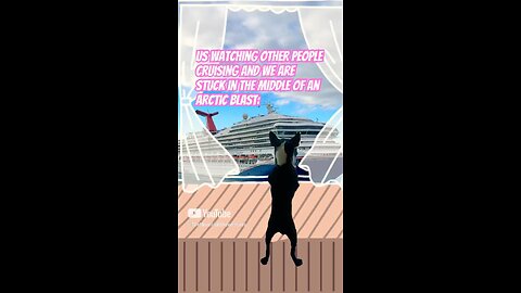 CRUISING: Cure for an ARCTIC BLAST 🛳️☃️ #travel #shorts #cruise #arcticblast #dog