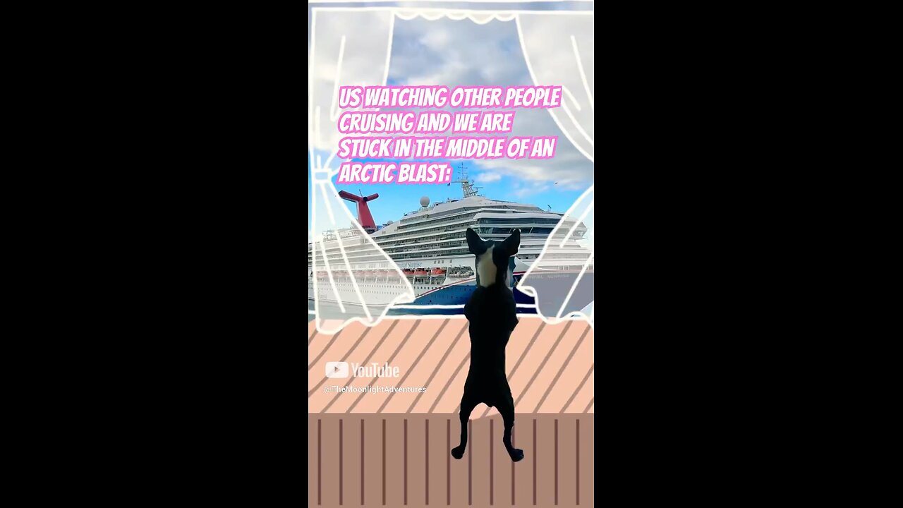 CRUISING: Cure for an ARCTIC BLAST 🛳️☃️ #travel #shorts #cruise #arcticblast #dog