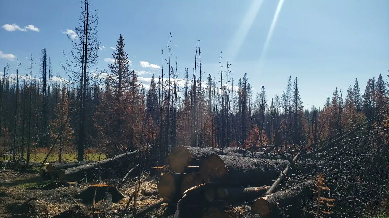 British Columbia is burning a bit of why we've been MIA #shorts