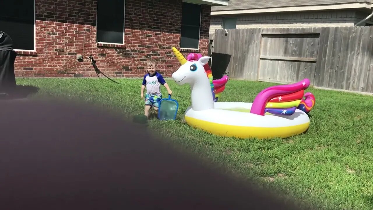 The Unicorn Pool Number One