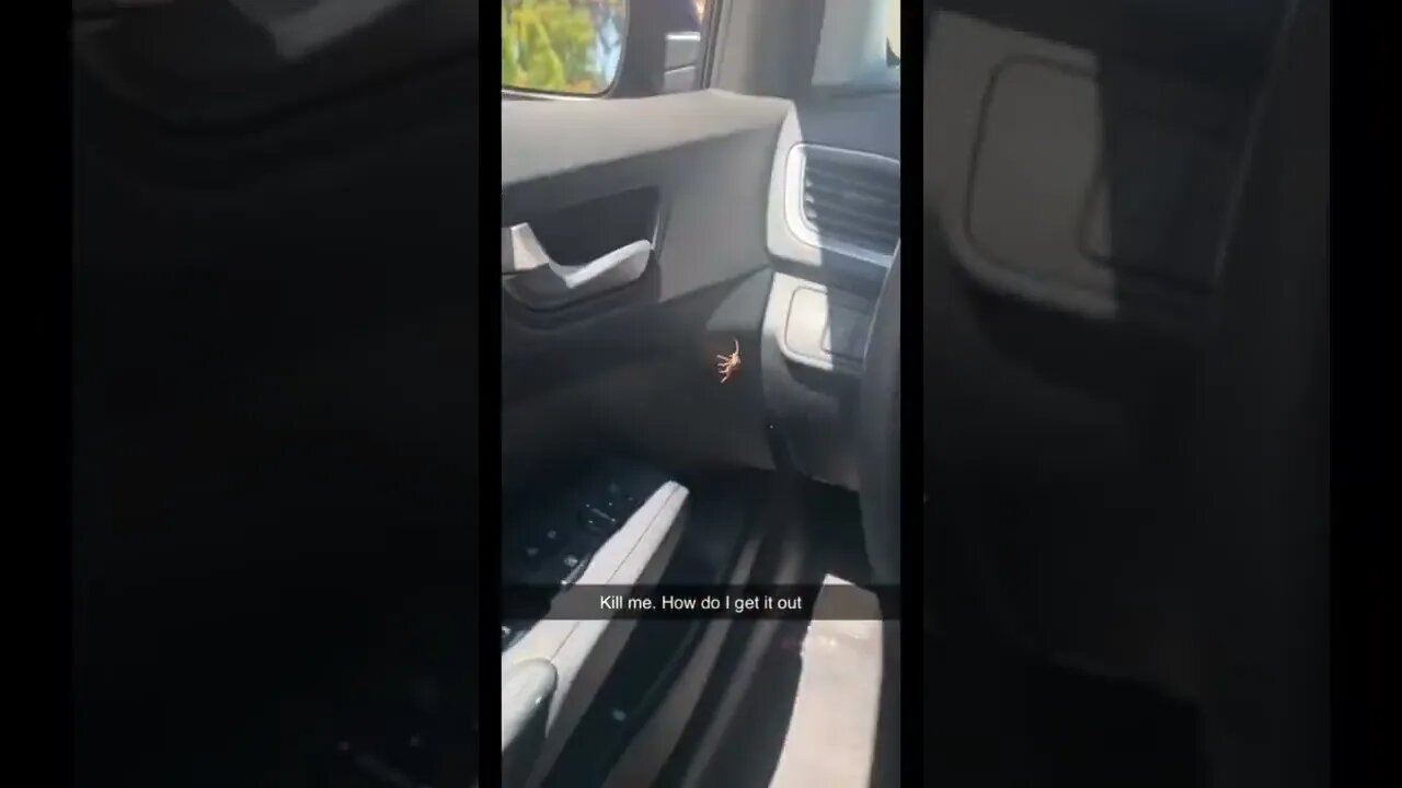 Here’s Your Dose Of REALarious…😳😳😳