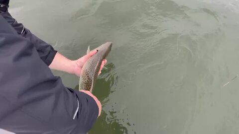 Clean release