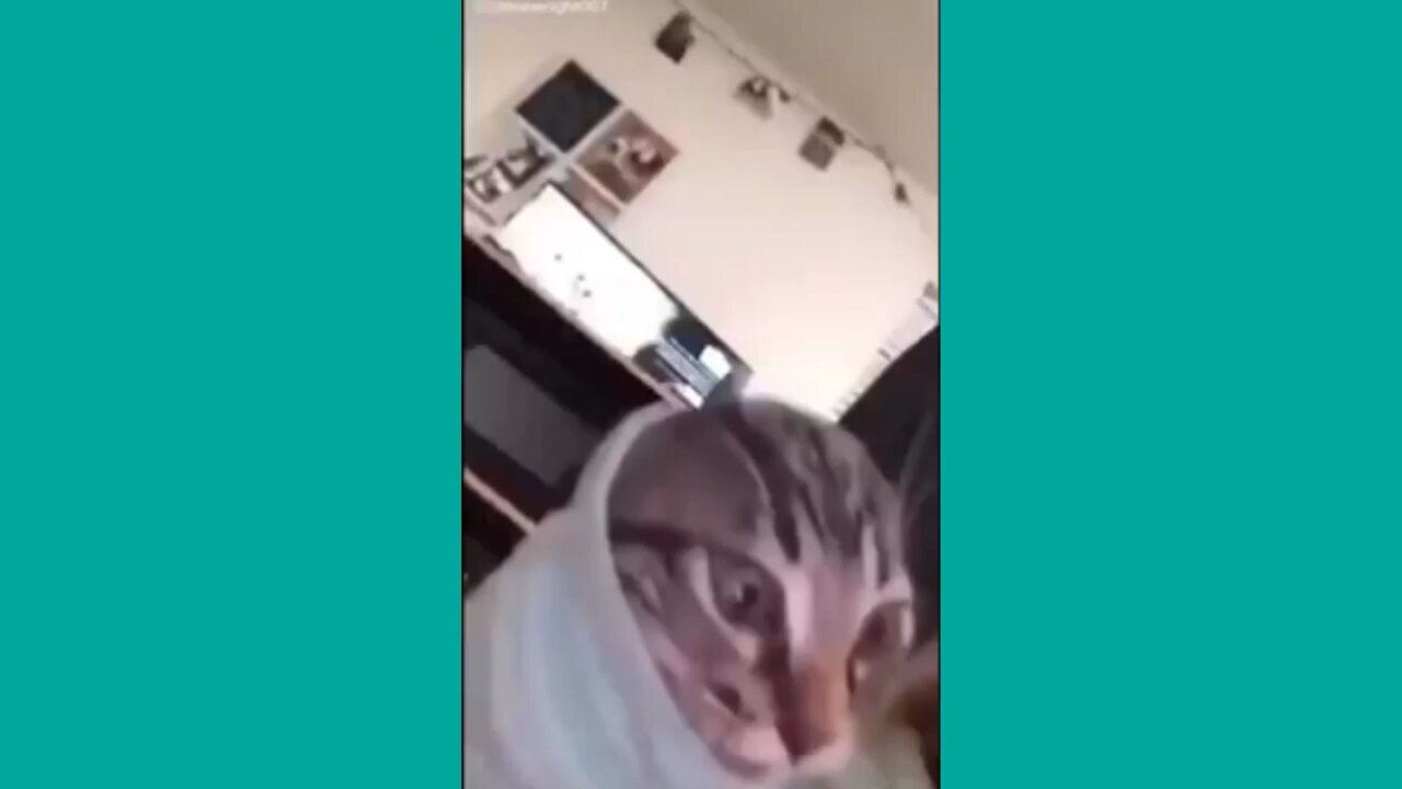 funny