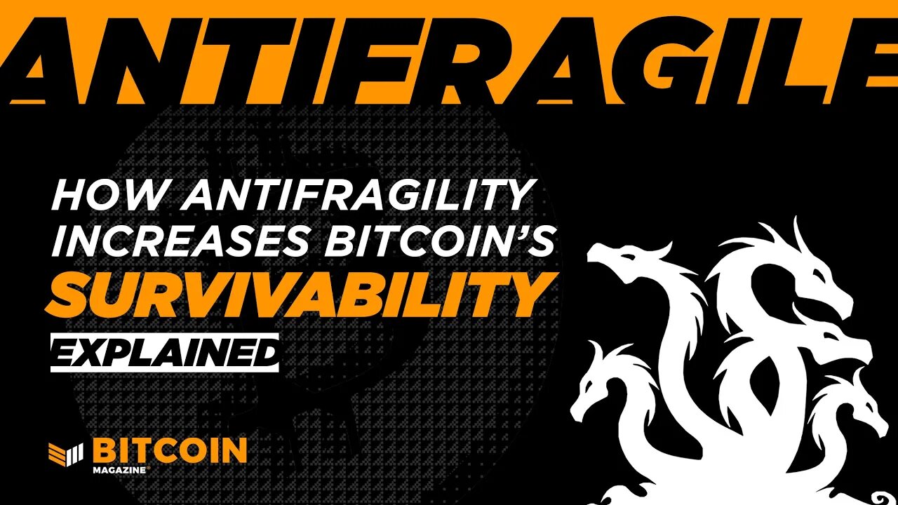 How Antifragility Increases Bitcoin's Survivability - EXPLAINED