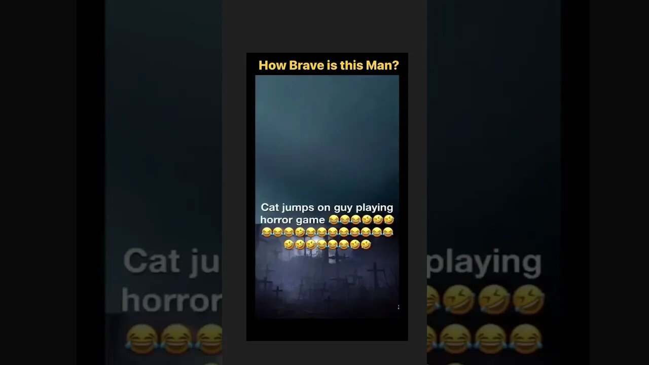 What scared him? The Cat or the Game?
