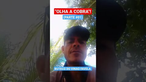 OLHA A COBRA (PARTE #01)