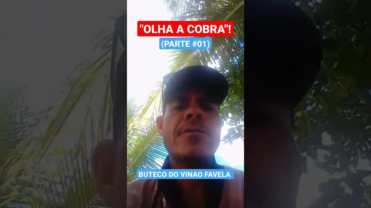 OLHA A COBRA (PARTE #01)