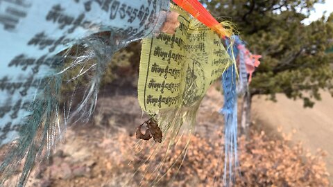 Prayers and Boulder