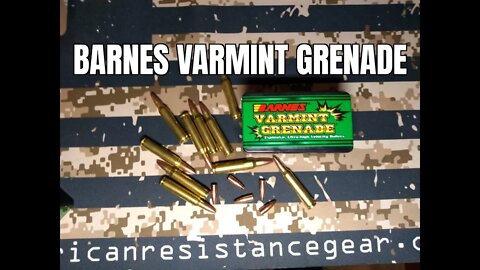 Barnes Varmint Grenade 223 VS Cat Food