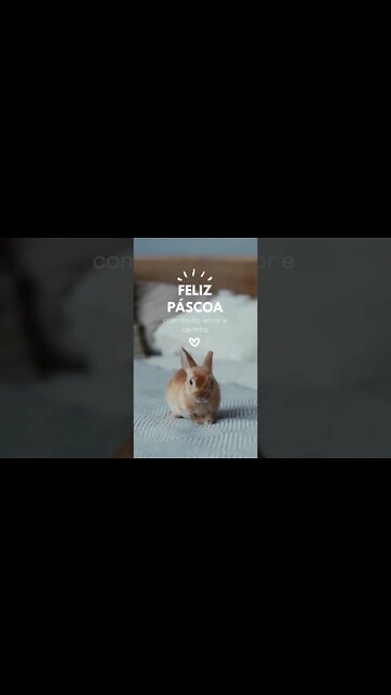 Feliz Páscoa Naturebas! 💜🌿🐰 #shorts