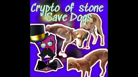 Coleção NFT crypto of stone disponível no mercado !