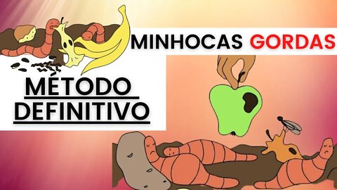 Método infalível Para Criação de Minhocas (CAMADAS) | Minhocas Belo Horizonte