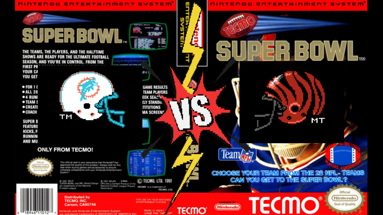 Tecmo Super Bowl - NES DeathDealer69 🇺🇸 (Miami Dolphins)