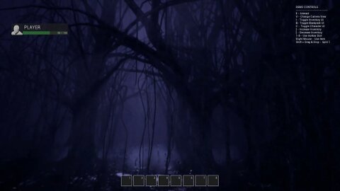 2020 WHAT lurks in the Dark Forest