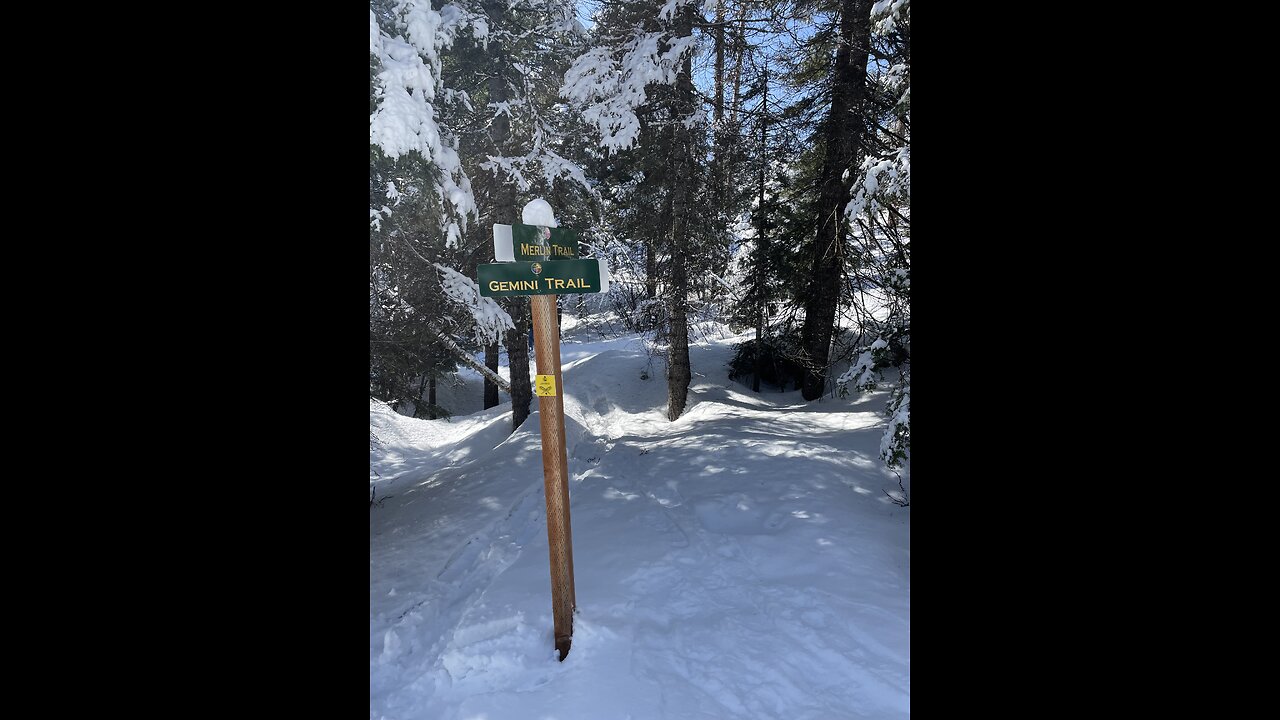 Tamarack snowshoe trail