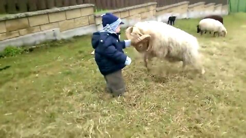 Boy Is Attacked By Very Angry Bee🐏