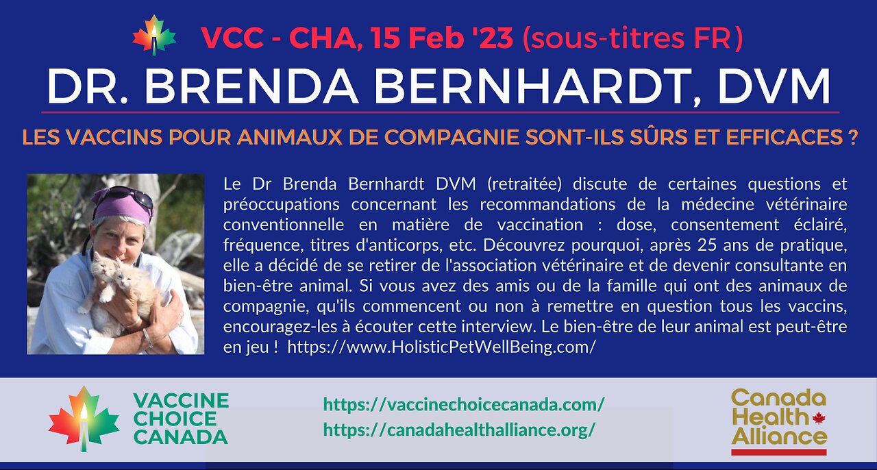 Dr. Brenda Bernhardt DVM - Les vaccins pour animaux de compagnie sont-ils sûrs et efficaces ?