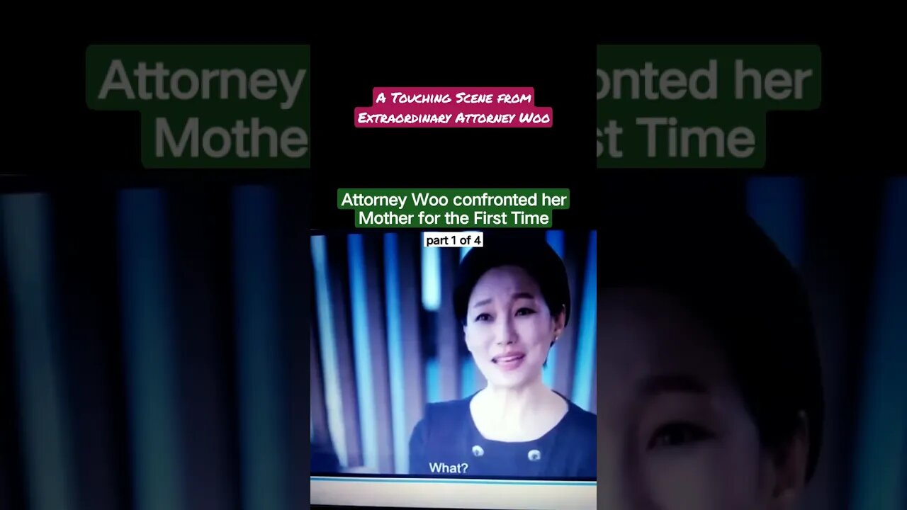 Extraordinary Attorney Woo
