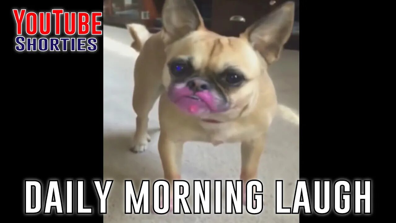 Funny Morning Laugh - 30 Seconds to Start Your Day Right #shorts