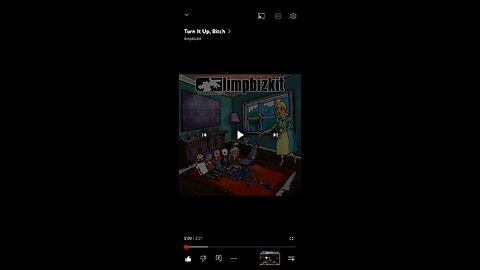 nothing but that bizkit y'all