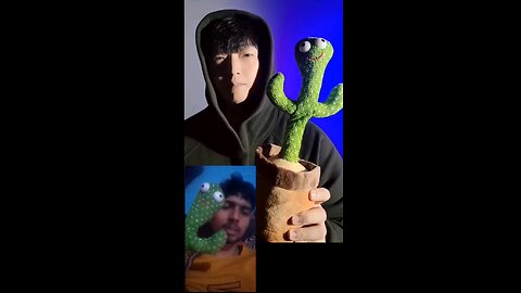 beatbox copy of cactus 🌵