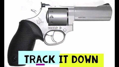 Taurus tracker 22 LR